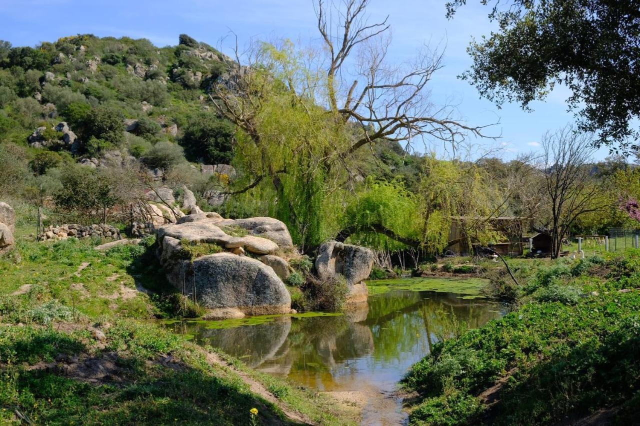 Il Nuraghe Del Lago Coghinas Oschiri Luaran gambar