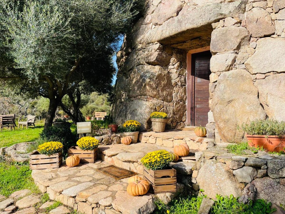 Il Nuraghe Del Lago Coghinas Oschiri Luaran gambar