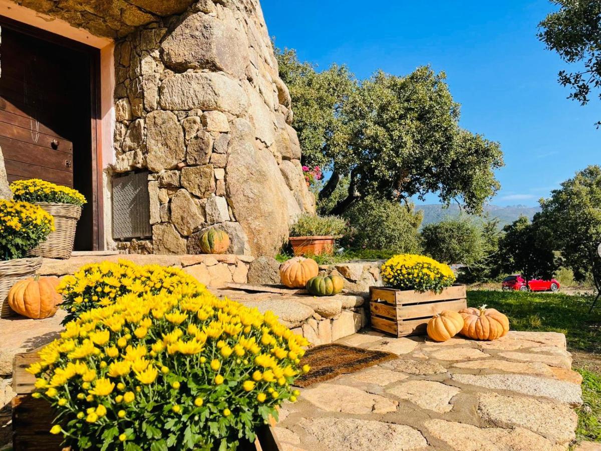 Il Nuraghe Del Lago Coghinas Oschiri Luaran gambar