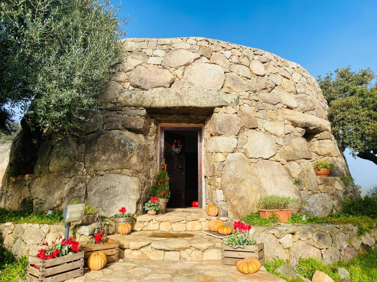 Il Nuraghe Del Lago Coghinas Oschiri Luaran gambar