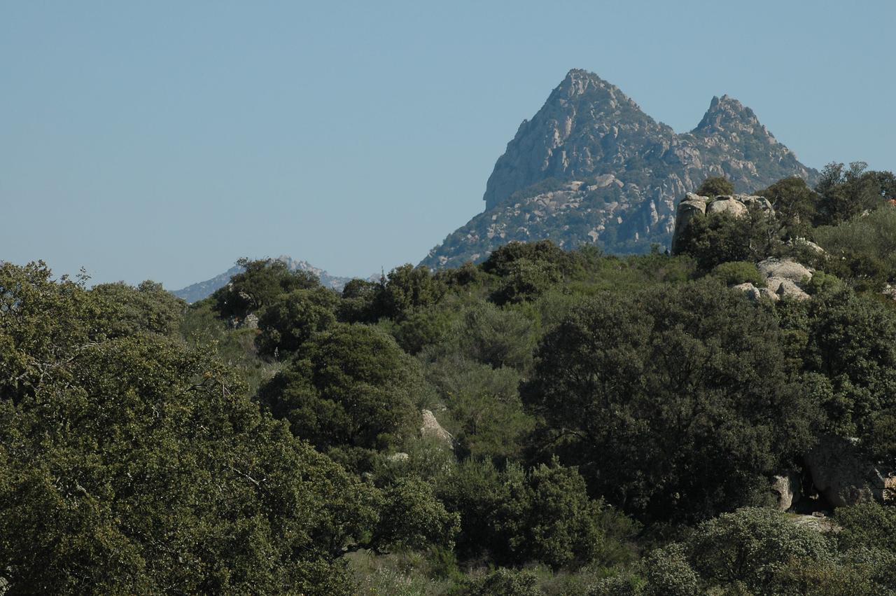 Il Nuraghe Del Lago Coghinas Oschiri Luaran gambar